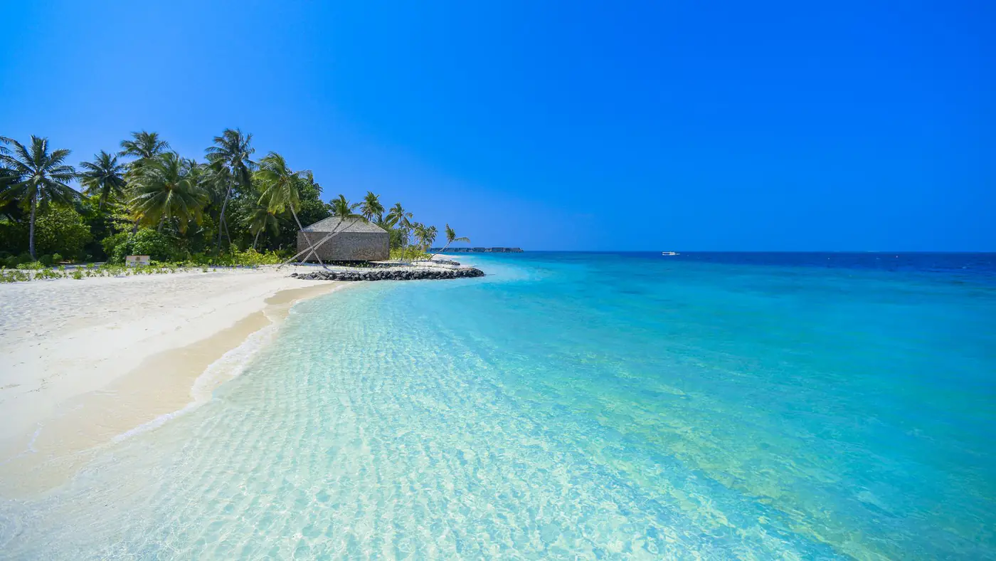 Crystal clear waters and palm trees on a tranquil Maldives beach.
