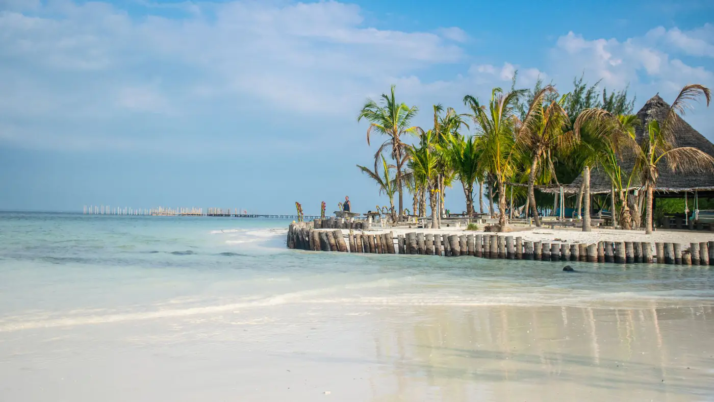 Serene tropical beach at Zanzibar with palm trees and clear blue skies.