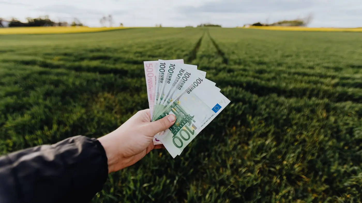 Crop unrecognizable farmer with one hundred and five hundred euro banknotes in hand in large green rural field on summer day