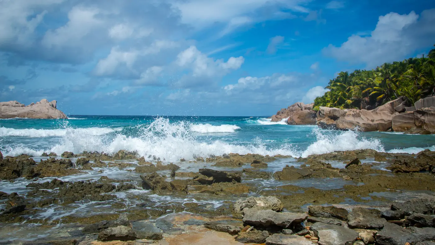 Waves crashing on a rocky beach with palm trees under a bright blue sky.