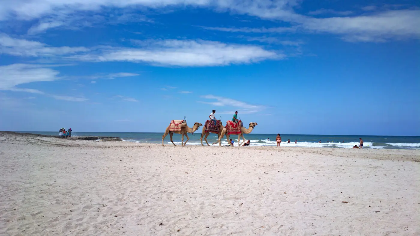Camel ride on a sunny Mediterranean beach with vibrant blue sky.